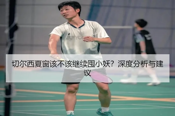 切尔西夏窗该不该继续囤小妖？深度分析与建议